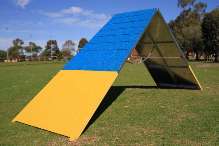 dpp_0099 dpp_0099