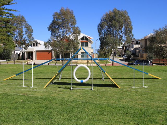 dpp_0185 dpp_0185